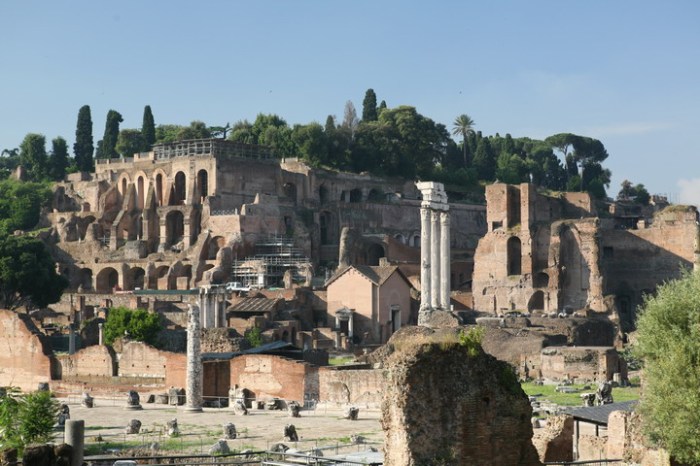 Rzym Forum Romanum dwa_2